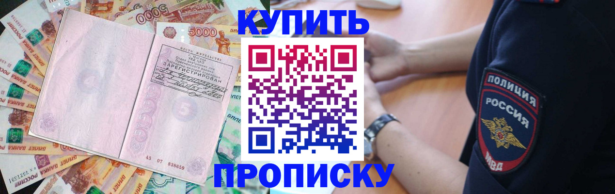 временная регистрация поиск в Павловске
